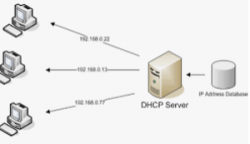 casino ohne limit dhcp